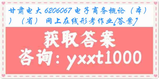 甘肃电大 6206067 电子商务概论（本）（省） 网上在线形考作业[答案]