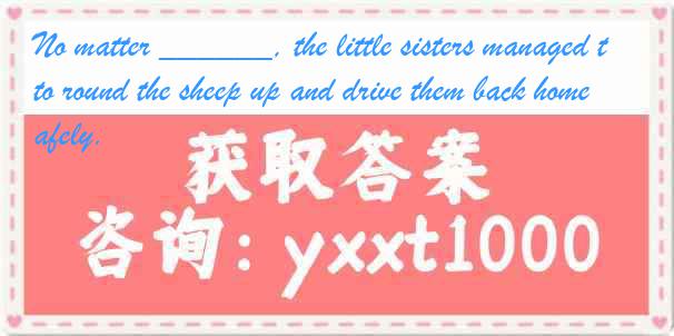 No matter ______, the little sisters managed to round the sheep up and drive them back home safely.