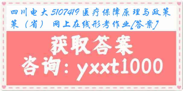 四川电大 5107419 医疗保障原理与政策（省） 网上在线形考作业[答案]