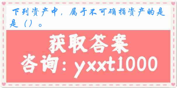 下列资产中，属于不可确指资产的是（）。