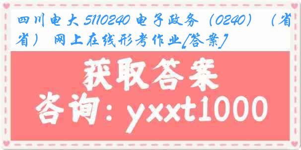 四川电大 5110240 电子政务（0240）（省） 网上在线形考作业[答案]