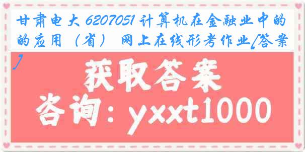 甘肃电大 6207051 计算机在金融业中的应用（省） 网上在线形考作业[答案]