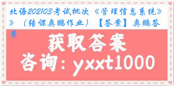 北语202103考试批次《管理信息系统》（结课奥鹏作业）【答案】奥鹏答案