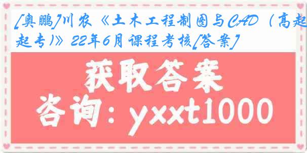 [奥鹏]川农《土木工程制图与CAD（高起专)》22年6月课程考核[答案]