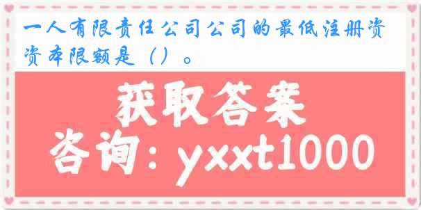 一人有限责任公司公司的最低注册资本限额是（）。