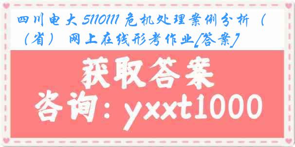 四川电大 5110111 危机处理案例分析（省） 网上在线形考作业[答案]