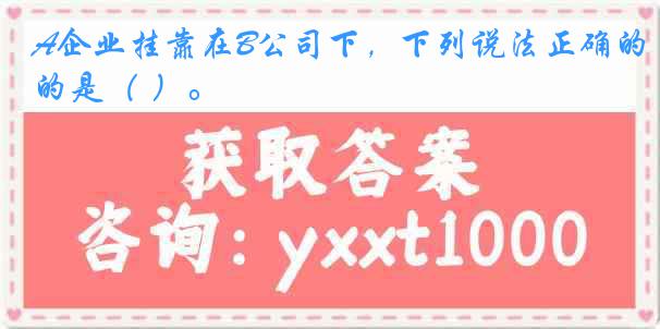 A企业挂靠在B公司下，下列说法正确的是（ ）。