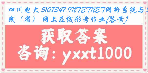 四川电大 5107347 INTETNET网络系统与实践（省） 网上在线形考作业[答案]