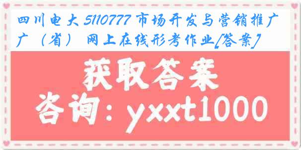 四川电大 5110777 市场开发与营销推广（省） 网上在线形考作业[答案]