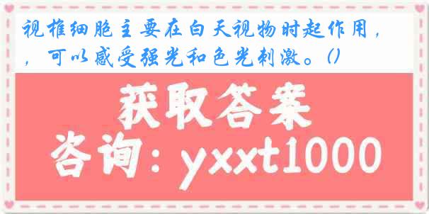 视椎细胞主要在白天视物时起作用，可以感受强光和色光刺激。()