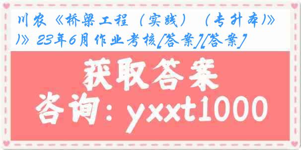 川农《桥梁工程（实践）（专升本)》23年6月作业考核[答案][答案]