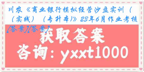 川农《商业银行模拟经营沙盘实训（实践）（专升本)》23年6月作业考核[答案][答案]