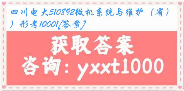 四川电大510892微机系统与维护（省）形考10001[答案]